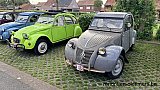 Zandlemig Vlaanderen